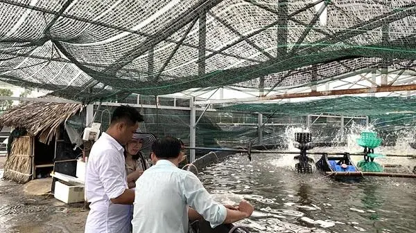 Hàn Màng Địa Kỹ Thuật Cho Nuôi Trồng Thủy Sản - Giải Pháp Bền Vững