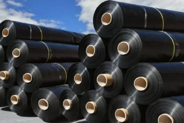 Giá Bạt HDPE Lót Hồ 2024 - Bí Quyết Thành Công Nuôi Trồng Thủy Sản