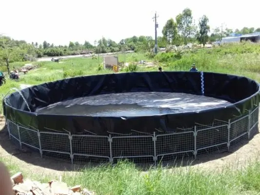Bạt Lót Hồ Cá HDPE -