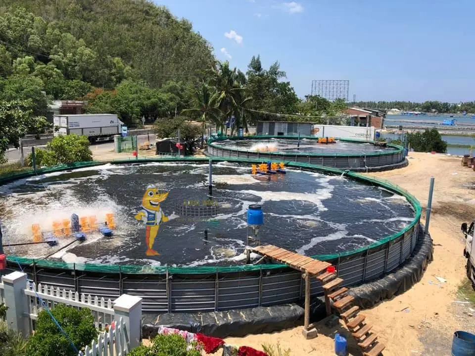 Bạt Lót Ao Hồ HDPE -