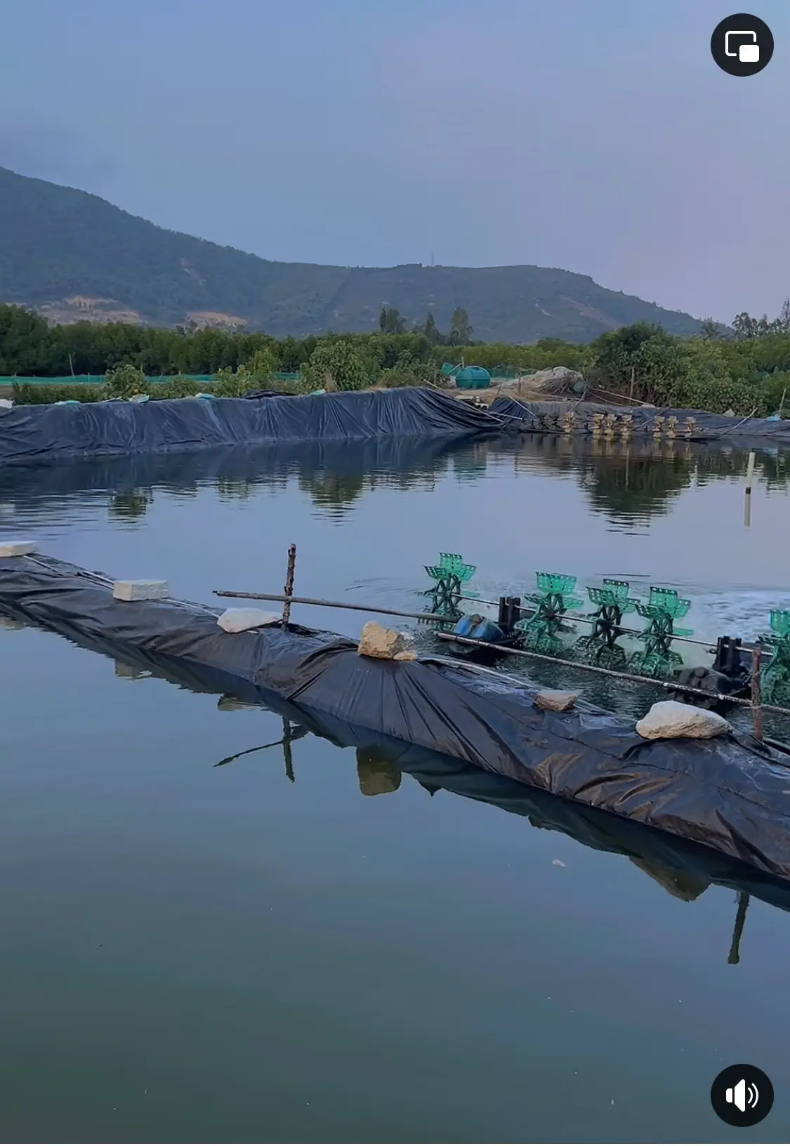 Bạt Lót Ao Hồ HDPE -