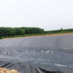 Giá Bạt Lót Ao Tôm - Lựa Chọn Thông Minh Cho Vụ Mùa Bội Thu