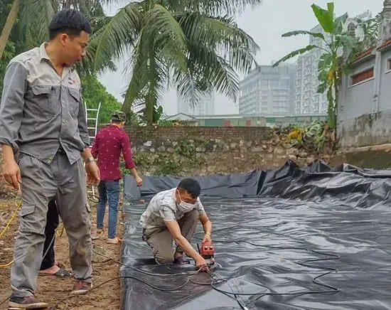 Bạt Lót Ao Hồ - Bí Quyết Vàng Cho Ngành Nuôi Trồng Thủy Sản Bền Vững