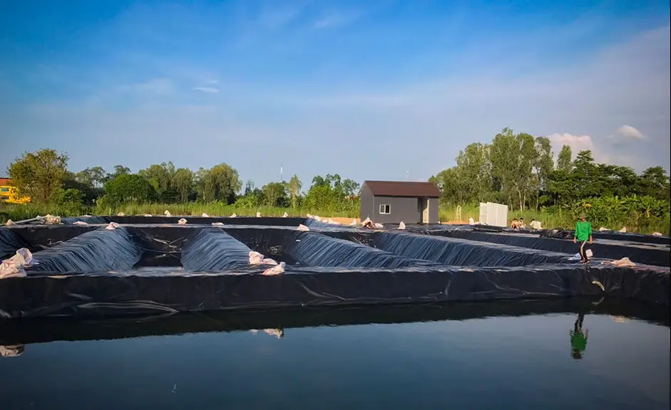 Bạt Lót Hồ Chứa Nước - Giải Pháp Vàng Cho Nông Nghiệp Bền Vững
