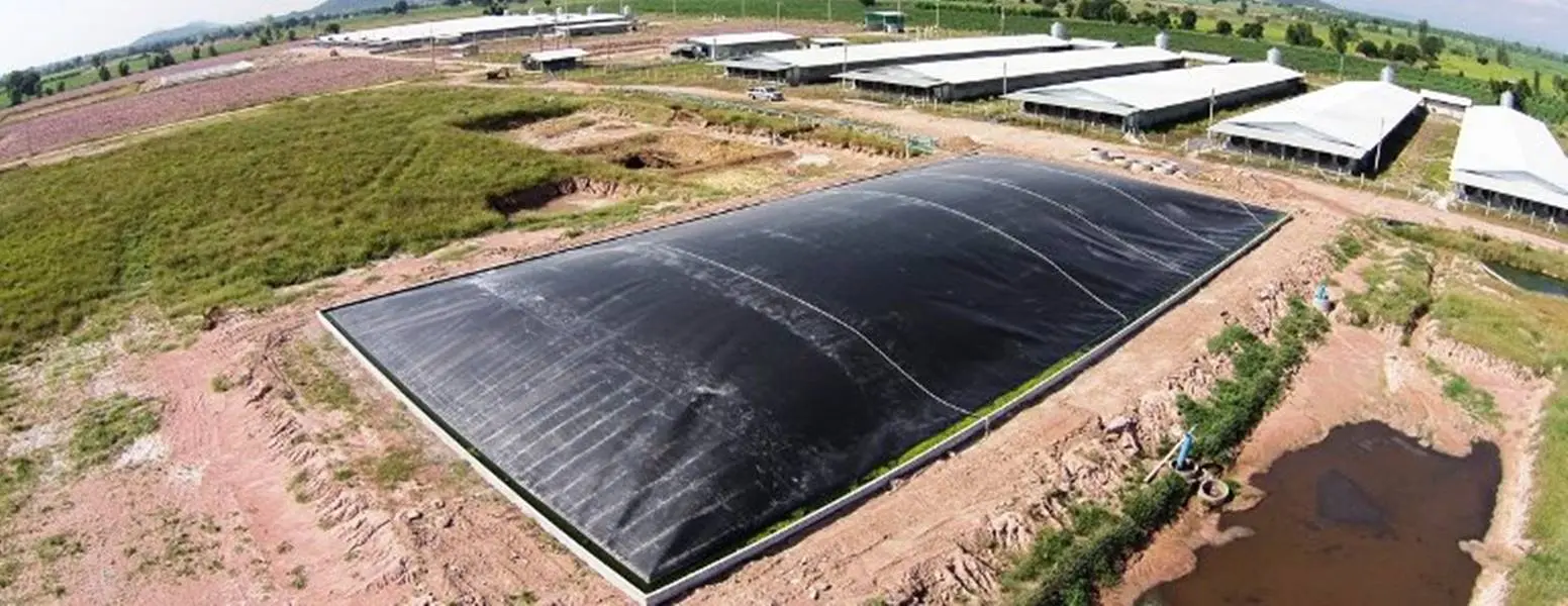 Giá Bạt Biogas - Chìa Khóa Vàng Cho Nông Nghiệp Xanh Bền Vững