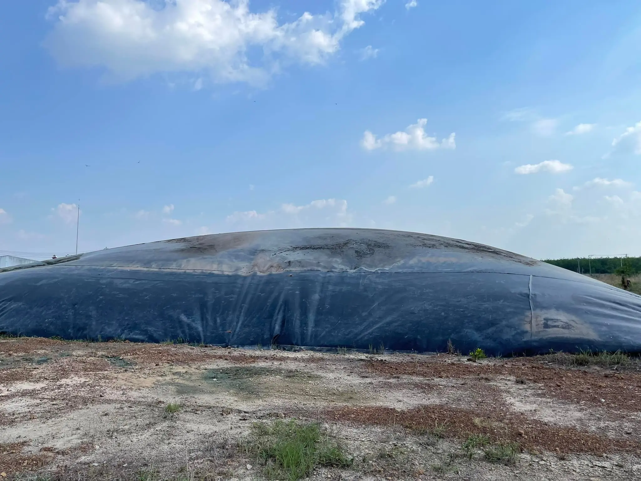Bạt Biogas - “Mảnh Ghép” Xanh Cho Năng Lượng Tái Tạo Tương Lai