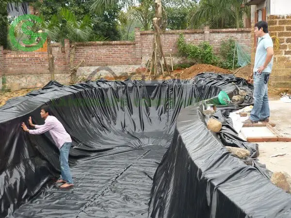 Tấm Bạt Lót Hồ Cá - Bí Quyết Vàng Cho Hồ Cá Thịnh Vượng - Sức Sống Bền Bỉ