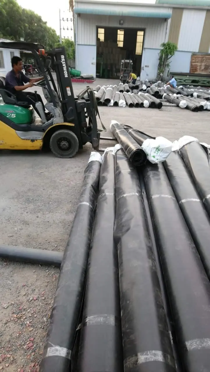 Tấm Bạt Lót Hồ Cá - Bí Quyết Vàng Cho Hồ Cá Thịnh Vượng - Sức Sống Bền Bỉ