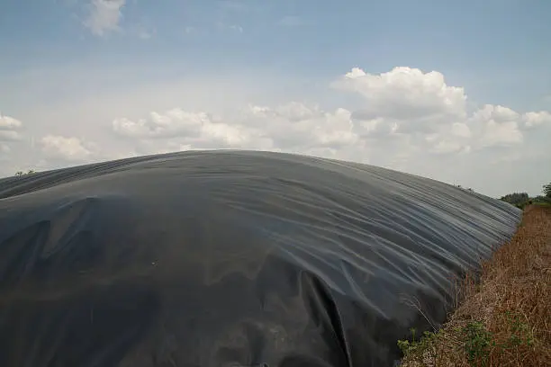 Giá Hầm Biogas HDPE - Giải Pháp Xanh Cho Tương Lai Bền Vững