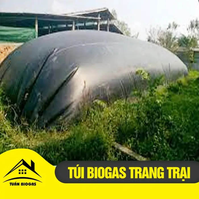 Giá Hầm Biogas HDPE - Giải Pháp Xanh Cho Tương Lai Bền Vững