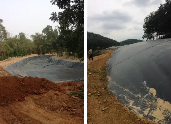 Giá Hầm Biogas HDPE - Giải Pháp Xanh Cho Tương Lai Bền Vững