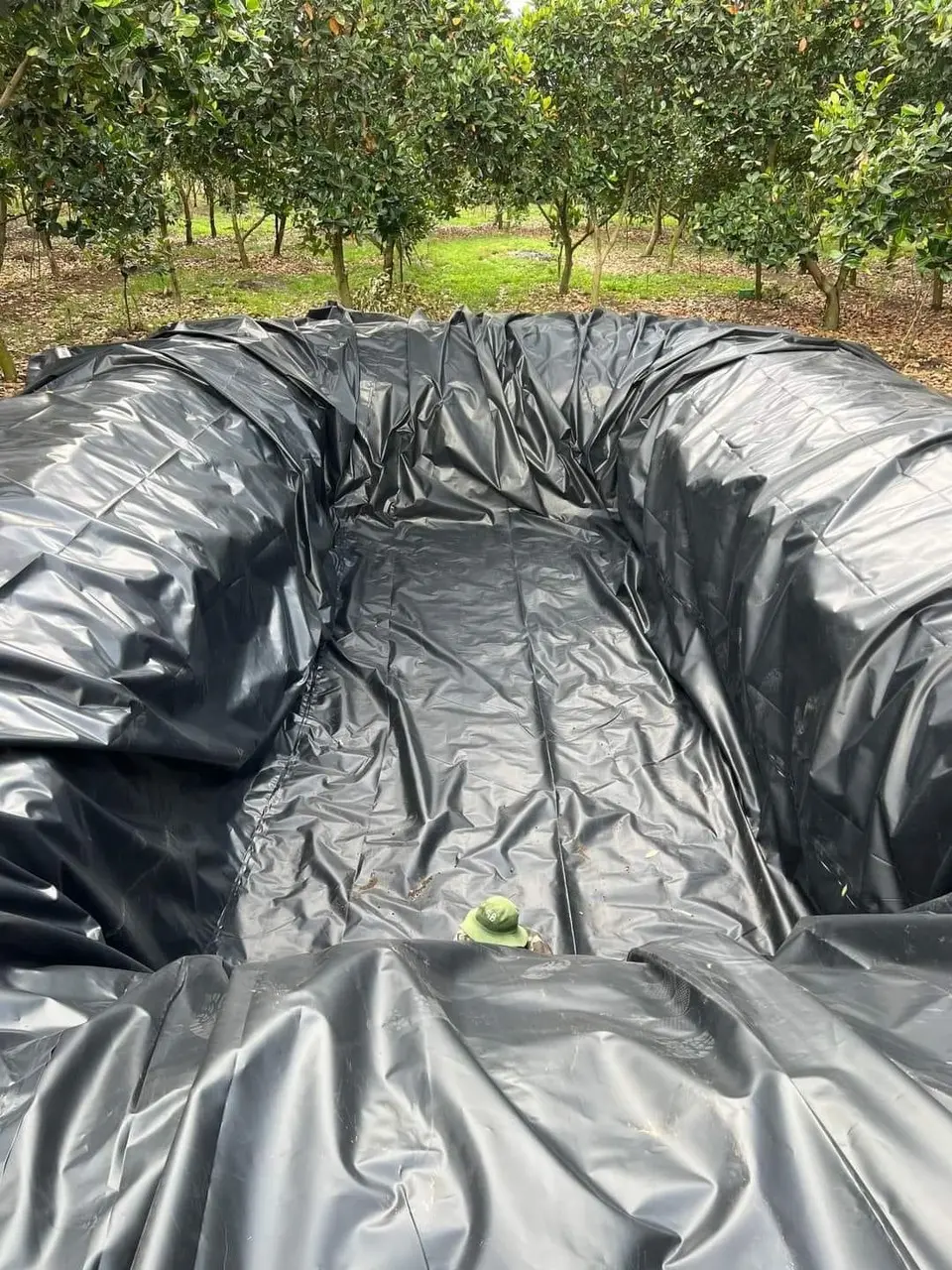 Giá Bạt Lót HDPE - Bí Quyết Vàng Cho Nuôi Tôm Hiệu Quả Bền Vững