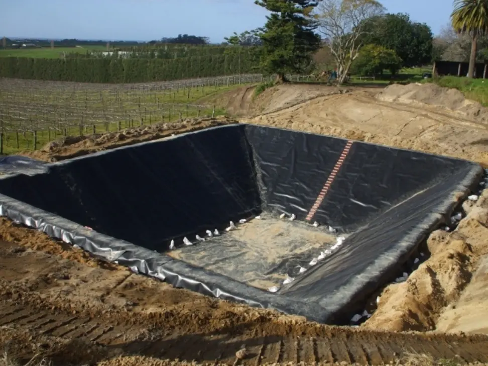 Giá Bạt Lót HDPE - Bí Quyết Vàng Cho Nuôi Tôm Hiệu Quả Bền Vững
