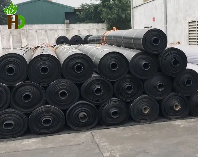 Giá Bạt Lót HDPE - Bí Quyết Vàng Cho Nuôi Tôm Hiệu Quả Bền Vững