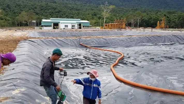 Bạt Lót Hồ Tôm - Bí Quyết Vàng Cho Vụ Nuôi Thành Công-Bền Vững