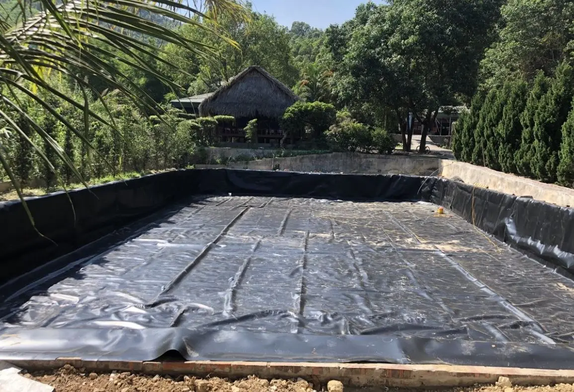 Bạt Chống Thấm Hồ Cá - Bí Quyết Vàng Cho Vụ Mùa Bội Thu - Nuôi Trồng Thủy Sản