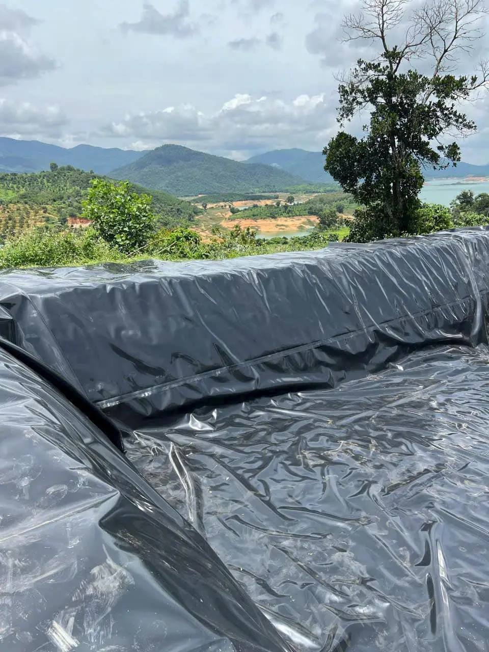 Bạt Lót Hồ - Giải Pháp Vàng Cho Thủy Sản Bền Vững