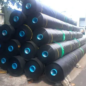 Màng Chống Thấm HDPE - Giải Pháp Vàng Cho Mọi Công Trình