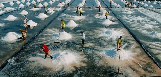 Bạt Lót Ruộng Muối - Nâng Tầm Năng Suất, Bền Vững Mùa Vụ