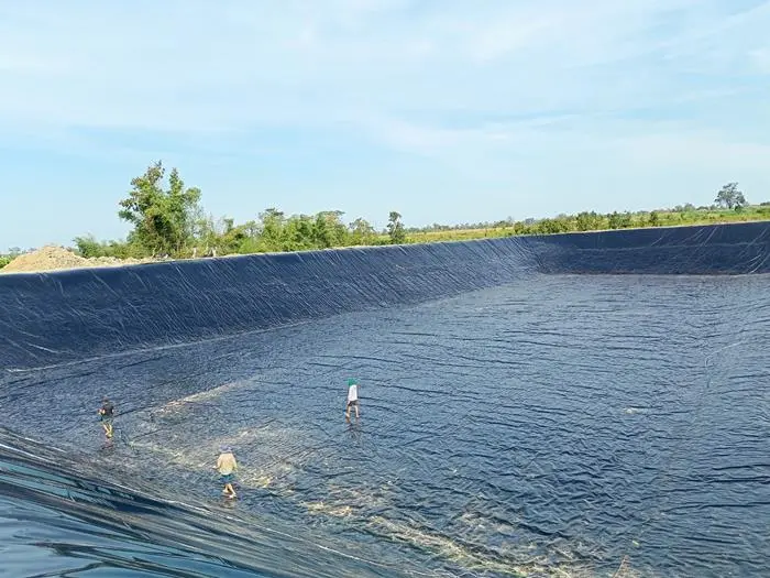 Bạt Lót Ao HDPE - Khắc Tinh Thấm Nước, Vàng Lòng Người Nuôi