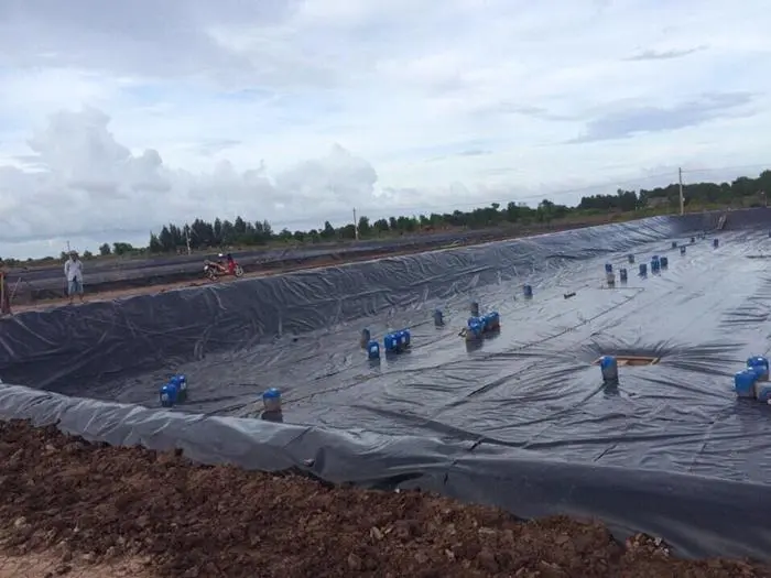 Bạt Lót Ao HDPE - Khắc Tinh Thấm Nước, Vàng Lòng Người Nuôi