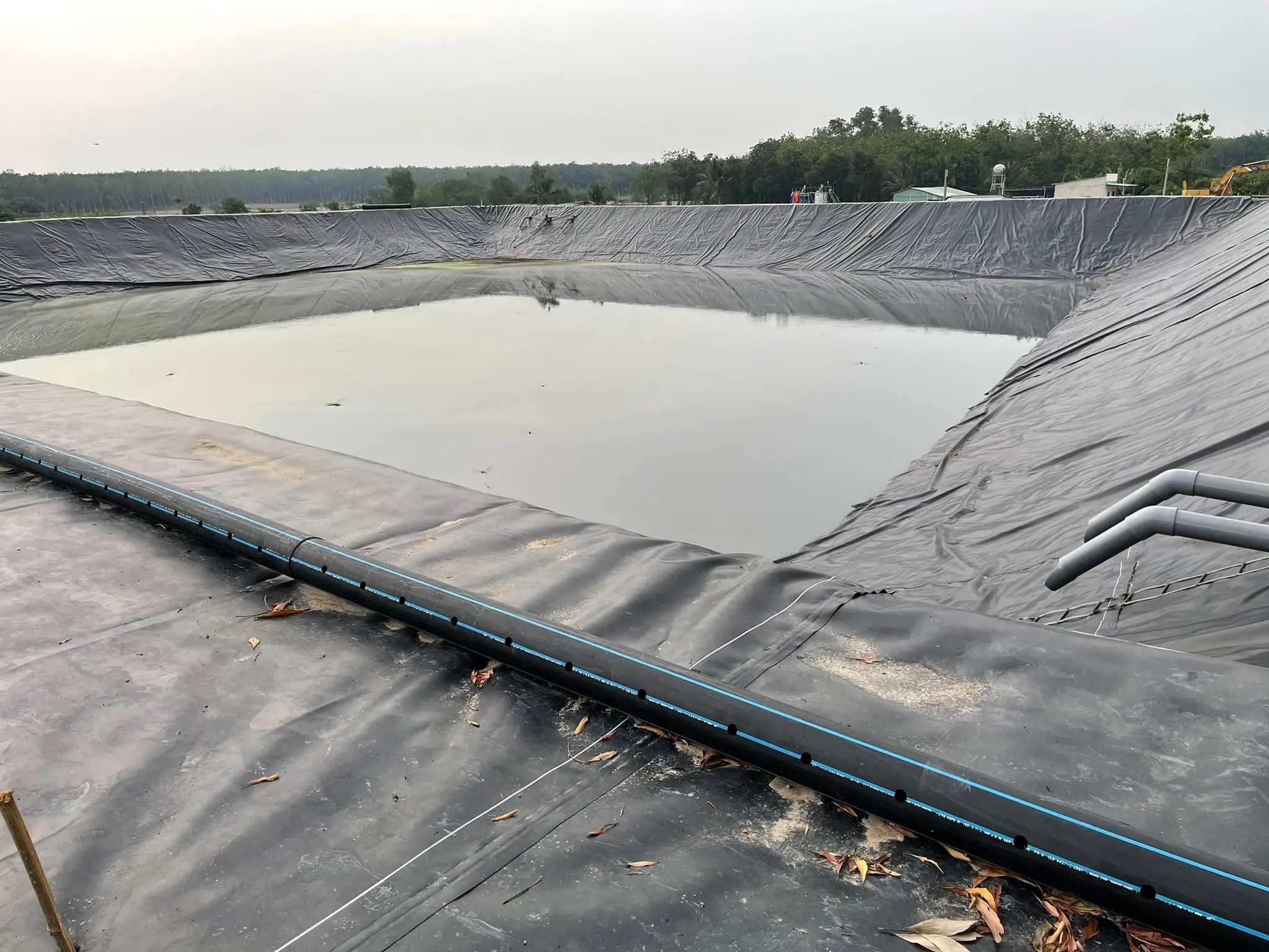 Bạt Lót Ao HDPE - Khắc Tinh Thấm Nước, Vàng Lòng Người Nuôi