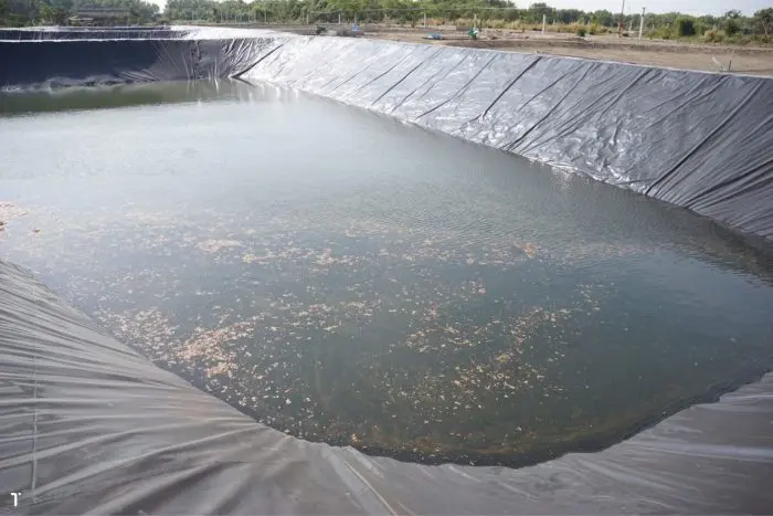 Bạt Lót Ao HDPE - Khắc Tinh Thấm Nước, Vàng Lòng Người Nuôi