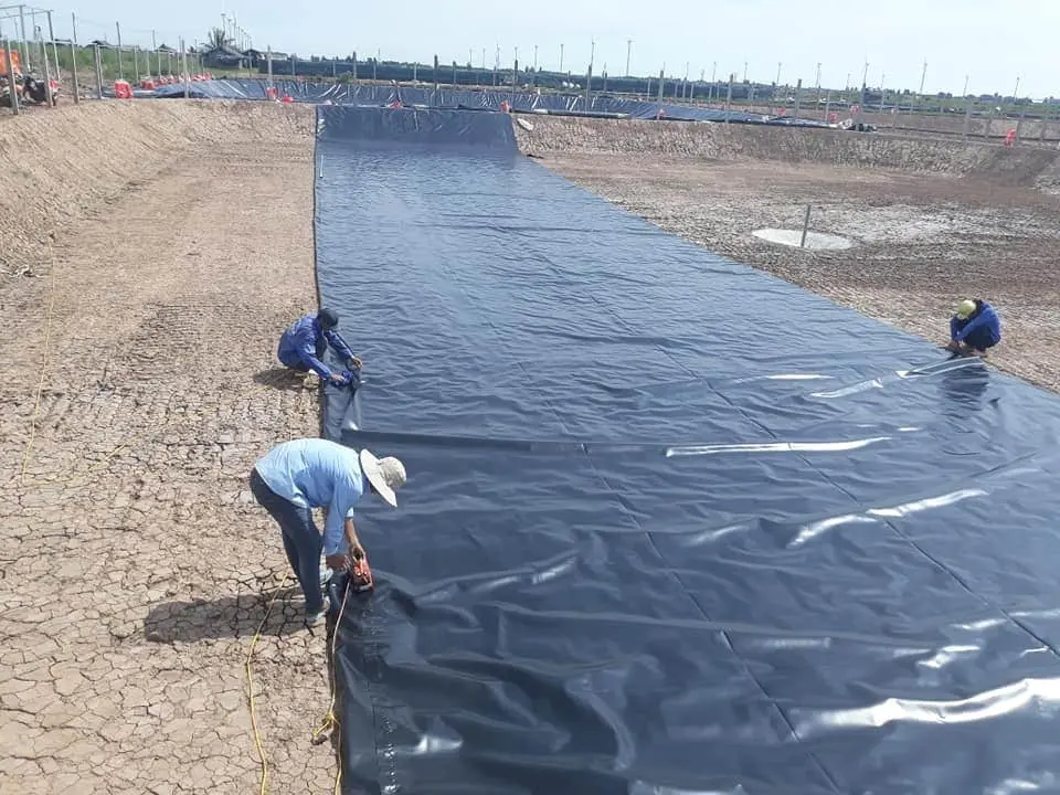 Bạt Lót Ao HDPE - Khắc Tinh Thấm Nước, Vàng Lòng Người Nuôi