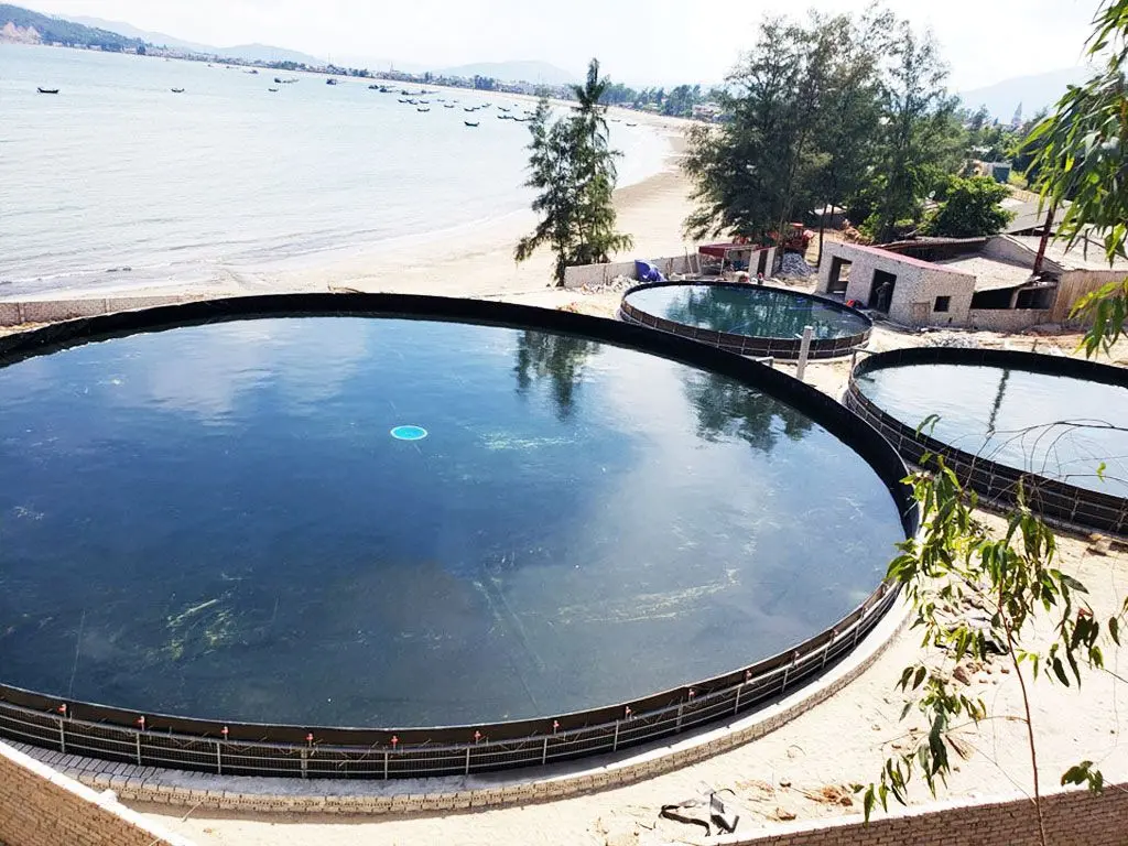 Bạt Trải Hồ Cá – Bí Quyết Vàng Cho Ngành Thủy Sản Thịnh Vượng