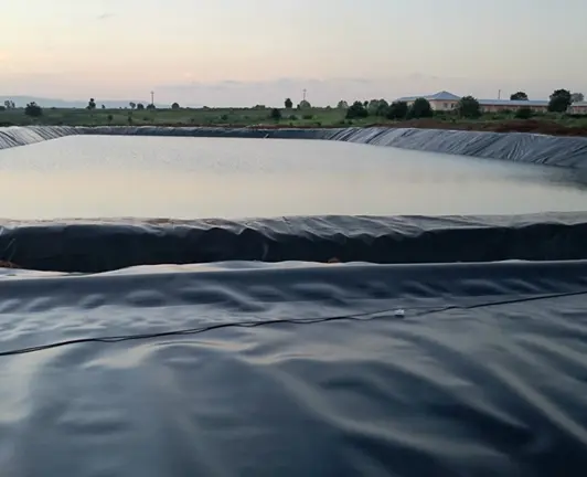 Hồ Bạt HDPE - Giải Pháp Vàng Cho Nuôi Trồng và Bảo Vệ Nguồn Nước