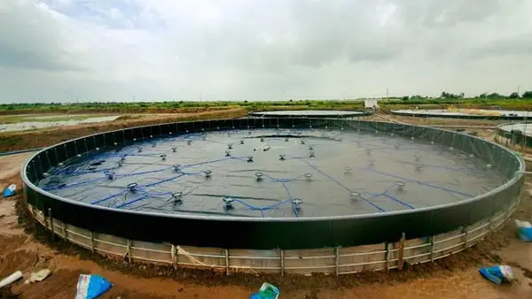 Bạt Hồ Tôm -