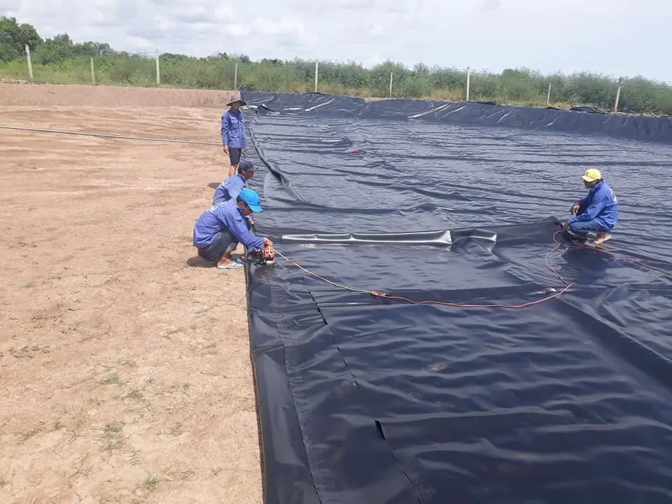 Bật Mí Giá Bạt Lót Hồ Tôm - Chọn Đúng, Vững Vàng Mùa Vụ