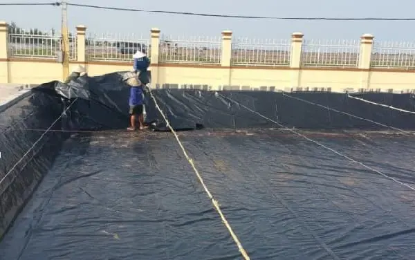 Bật Mí Giá Bạt Lót Hồ Tôm - Chọn Đúng, Vững Vàng Mùa Vụ