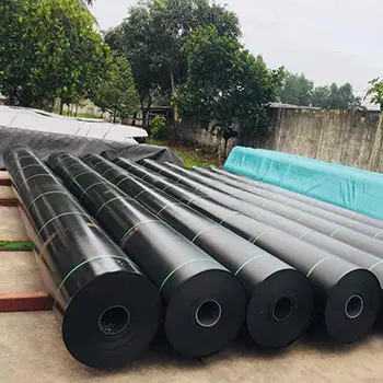 Giá Bạt Lót Ao - Bí Quyết Thành Công Cho Nuôi Trồng Thuỷ Sản Bền Vững