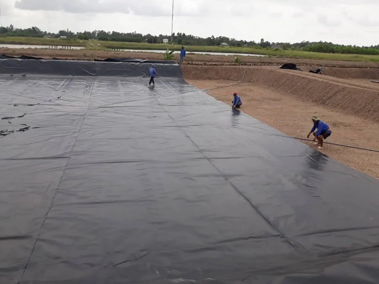 Giá Bạt Lót Ao - Bí Quyết Thành Công Cho Nuôi Trồng Thuỷ Sản Bền Vững