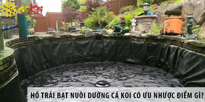 Hồ Cá Lót Bạt - Bể Cá Tiện Lợi Cho Mọi Nhà - Đẹp, Rẻ, Bền