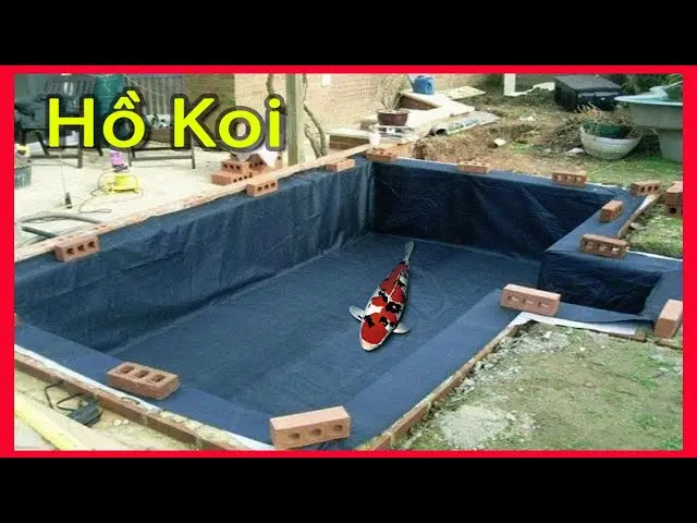 Hồ Cá Lót Bạt - Bể Cá Tiện Lợi Cho Mọi Nhà - Đẹp, Rẻ, Bền