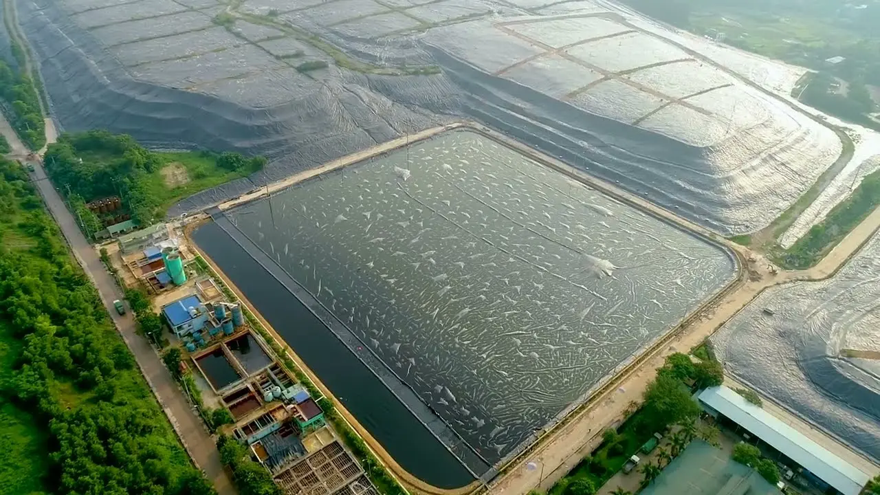 Bạt HDPE Solmax - Chống Thấm Vượt Trội - Giải Pháp Bền Vững