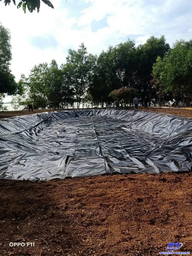 Mua Bạt Lót Hồ Cá - Bí Quyết Cho Hồ Cá Đẹp, Bền Vững