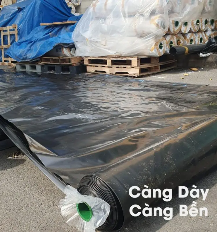 Mua Bạt Lót Hồ Cá - Bí Quyết Cho Hồ Cá Đẹp, Bền Vững