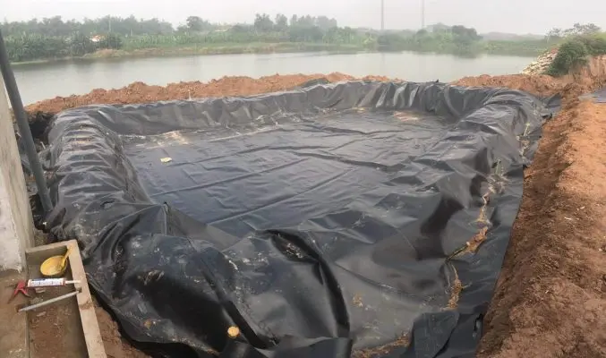Mua Bạt Lót Hồ Cá - Bí Quyết Cho Hồ Cá Đẹp, Bền Vững