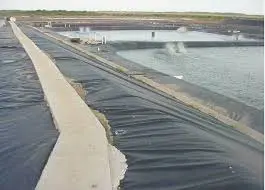 Bạt Lót Hồ Tôm HDPE - Bước Tiến Vượt Bậc Cho Ngành Thủy Sản