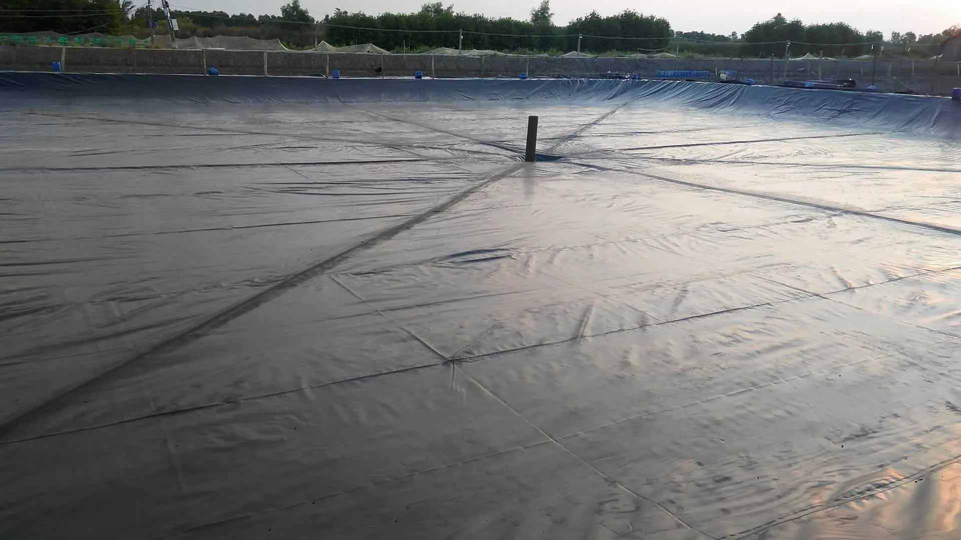 Bạt Lót Hồ Tôm HDPE - Bước Tiến Vượt Bậc Cho Ngành Thủy Sản