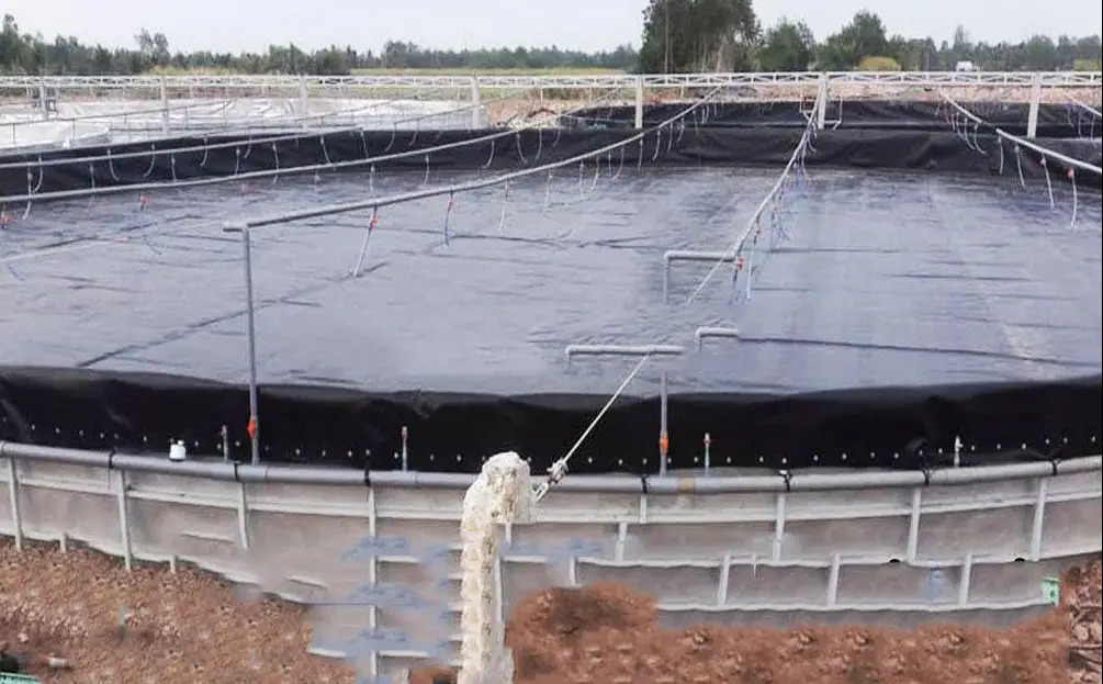 Bạt HDPE Giá Rẻ - Giải Pháp Vàng Cho Mọi Công Trình - Đột Phá Kinh Tế