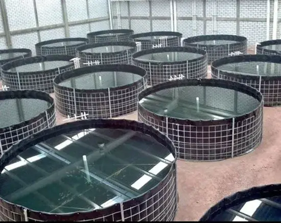 Giá Bạt Nhựa Lót Ao Bí Quyết Nâng Tầm Nuôi Trồng Thủy Sản Bền Vững