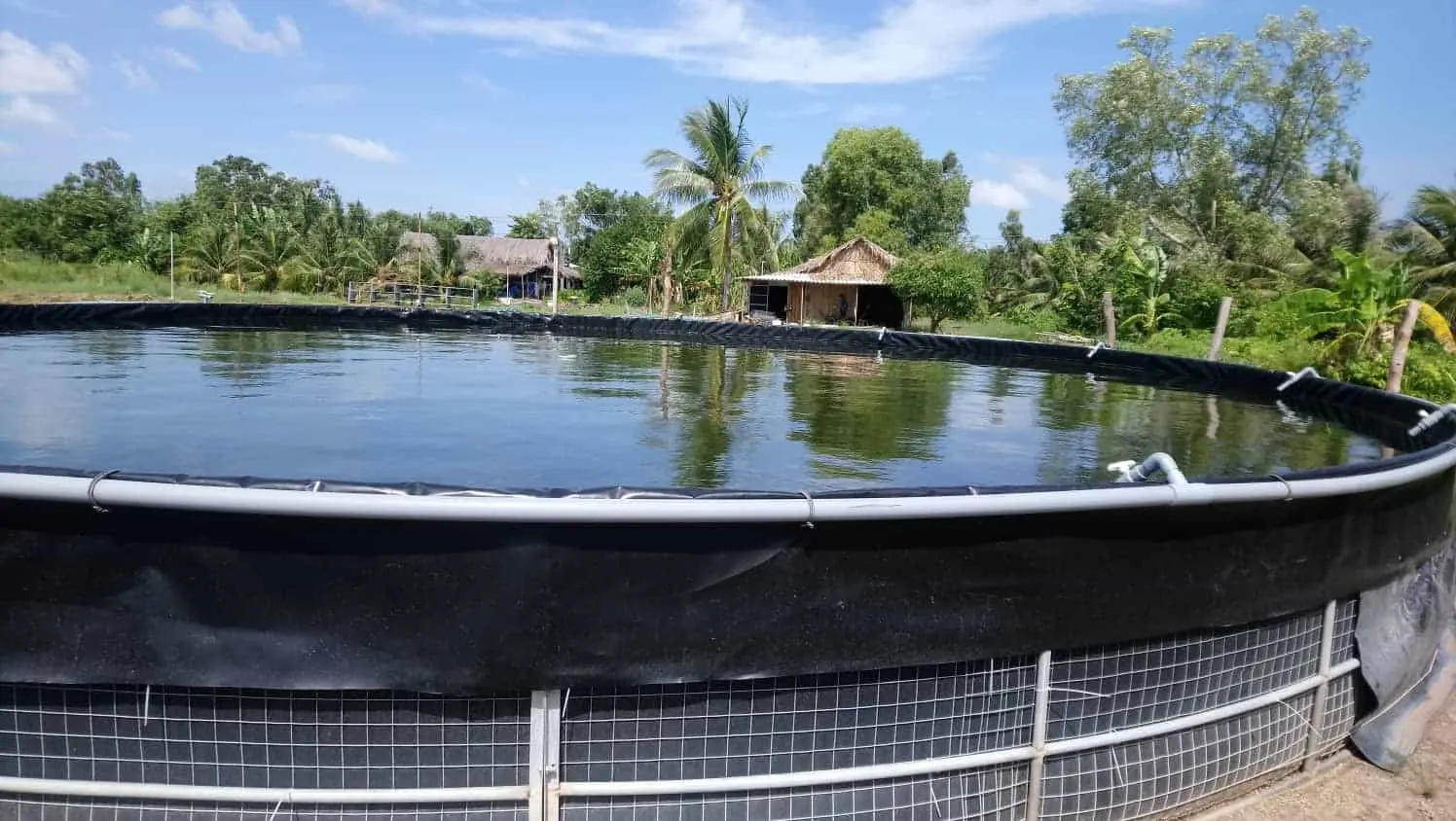 Bạt HDPE Giá Rẻ - Giải Pháp Vàng Cho Mọi Công Trình - Đột Phá Kinh Tế