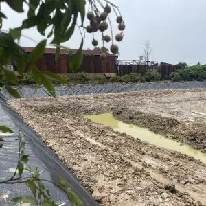 Giá Bạt HDPE Lót Hồ - Giải Pháp Toàn Diện Cho Mọi Nhu Cầu Lót Hồ