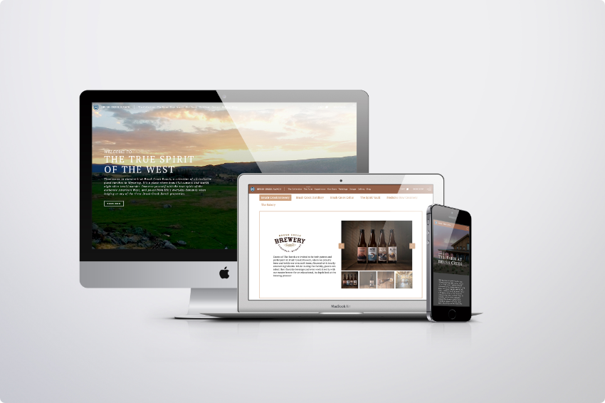 BCR Website mockup
