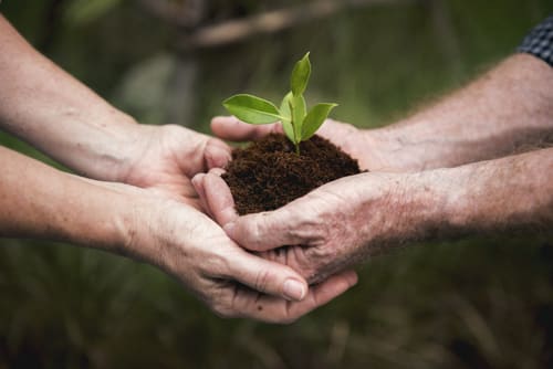 sustainable farming