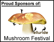 telluride mushroom festival